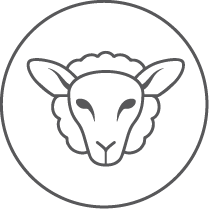 Lambswool
